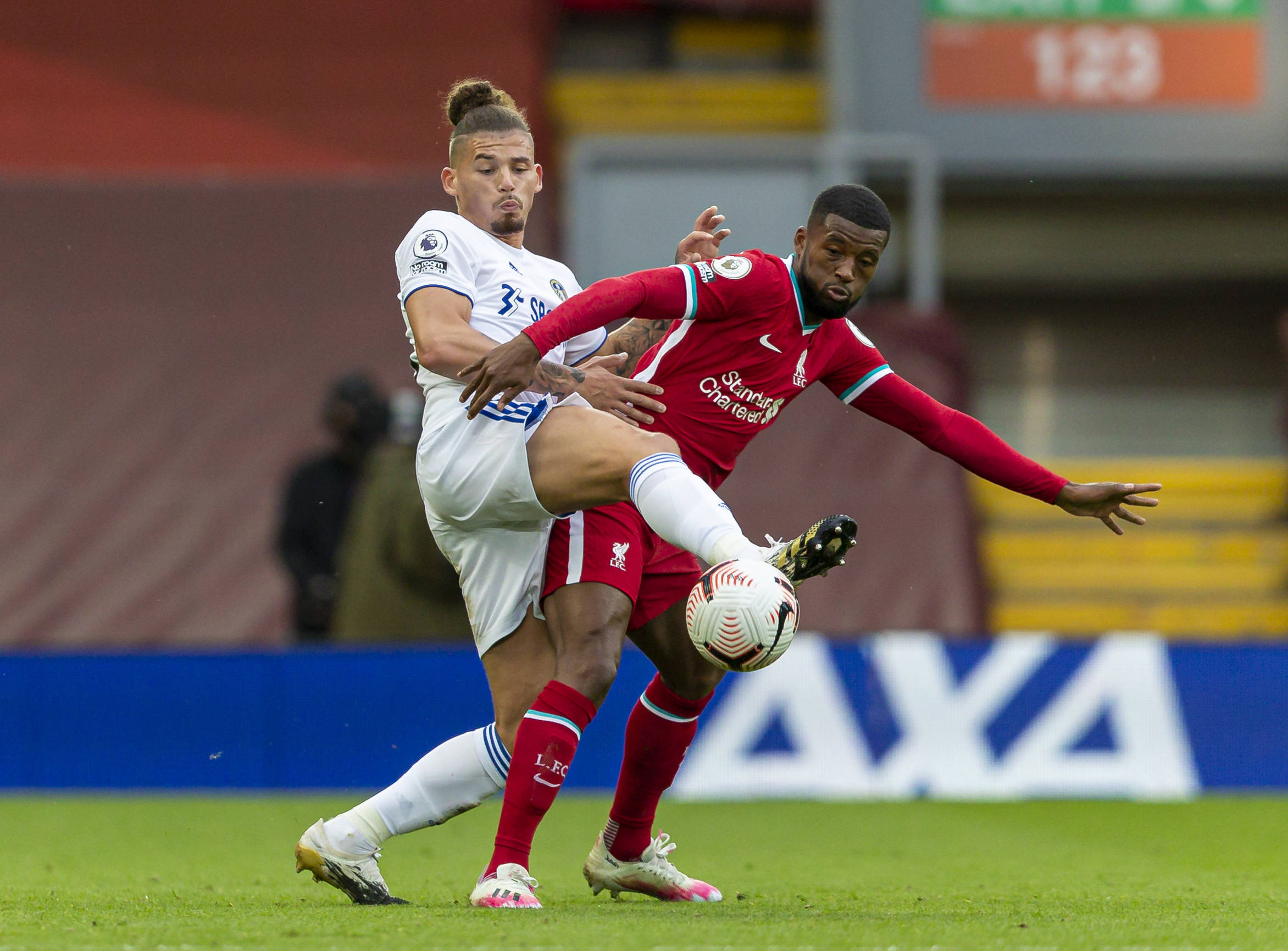 无疑为他们 无疑为他们